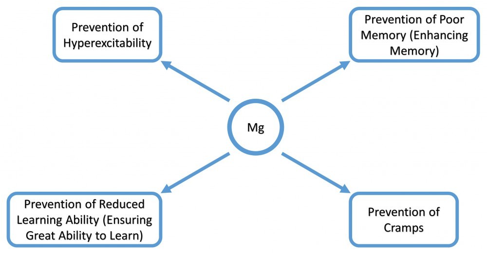 magnesiumexampletobetterexplainprimedailyvalues Health Knight