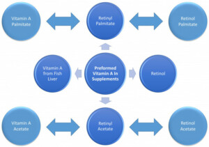 preformed-vitamin-a-forms-in-supplements