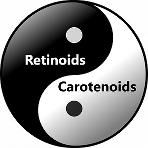 retinoids-and-carotenoids-work-synergistically