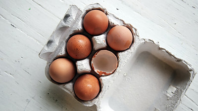 Egg Shell Membranes Are A Source Of Collagen