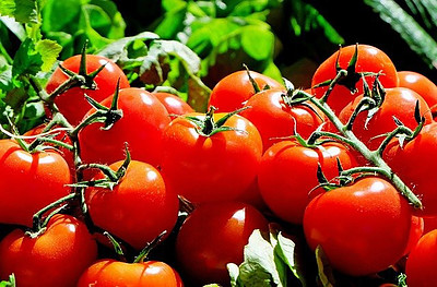 Tomato Can Be Used As A Source For Natural Coloring