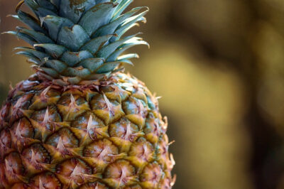 Bromelain Can Be Naturally Found In Pineapple