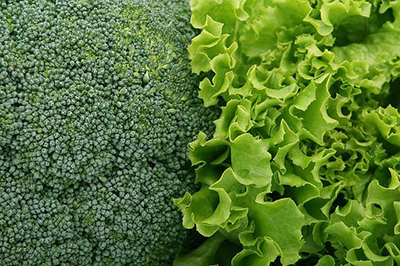 Broccoli And Lettuce Can Offer The Compound Too